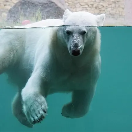 Tanuma Appartement Tallinn