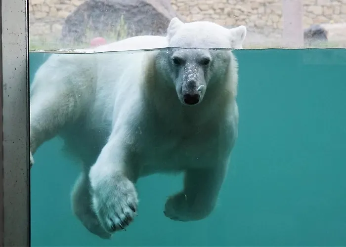 特努玛公寓酒店 公寓 塔林