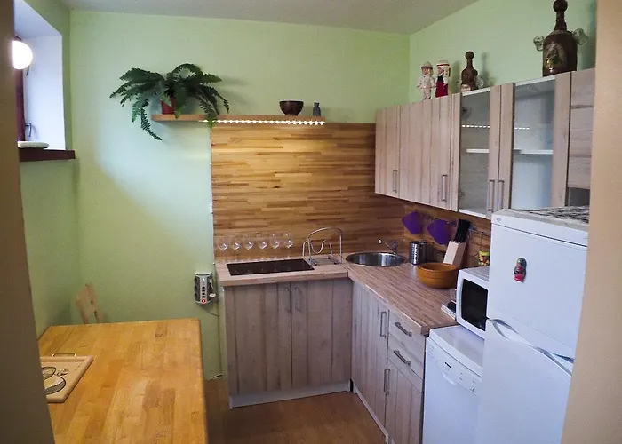 特努玛公寓酒店 公寓 塔林